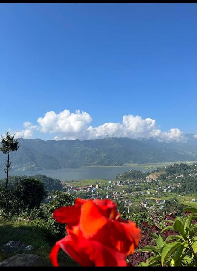 Into The Wild Pokhara Villa Kāskī Exteriör bild