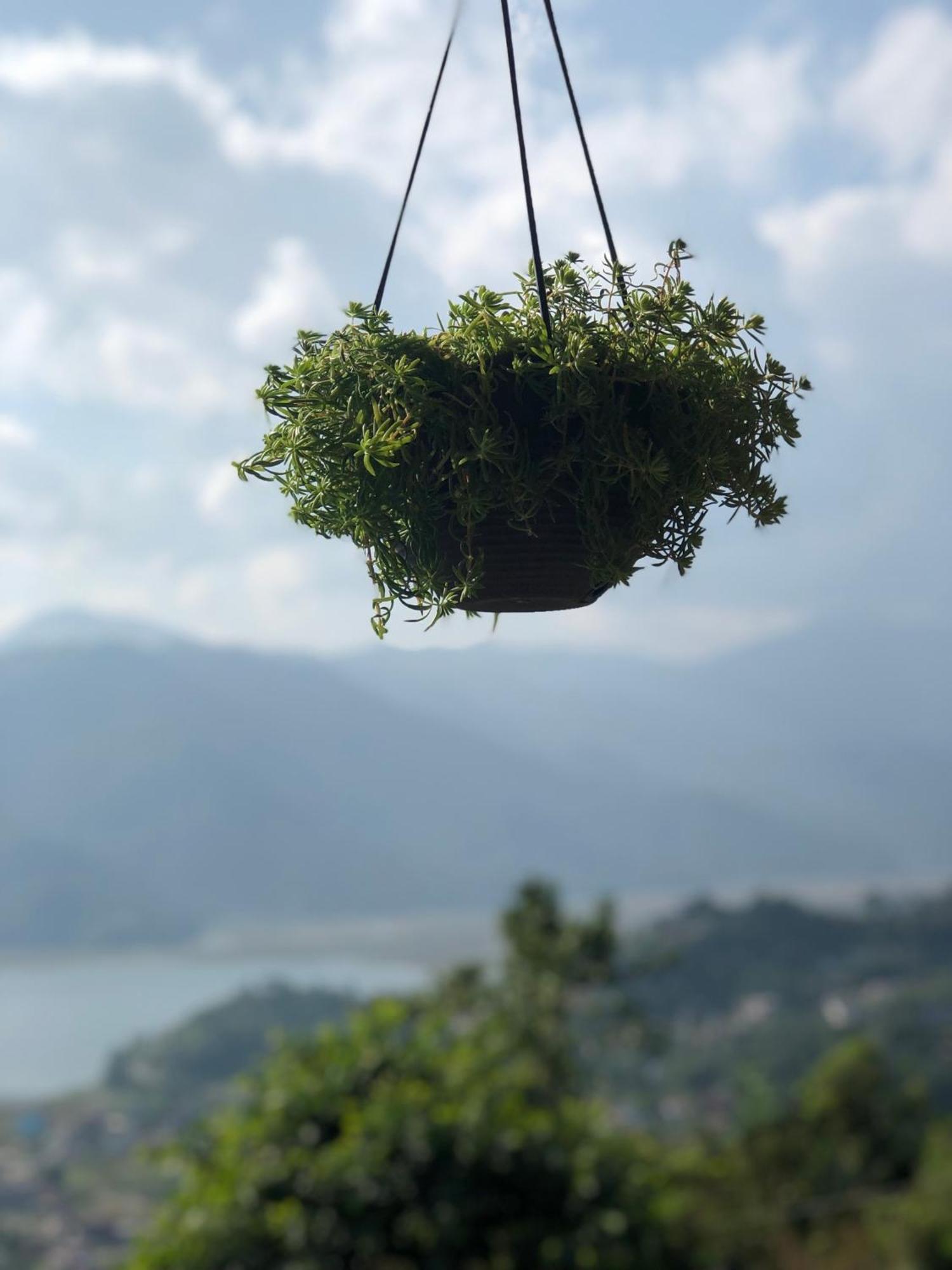 Into The Wild Pokhara Villa Kāskī Exteriör bild